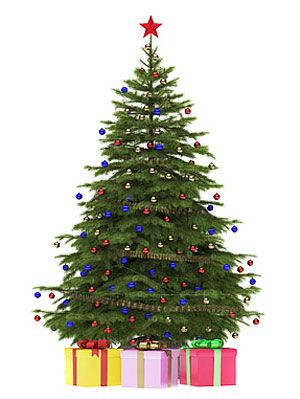 Christmas Tree Buying Guide How To Score The Perfect Christmas