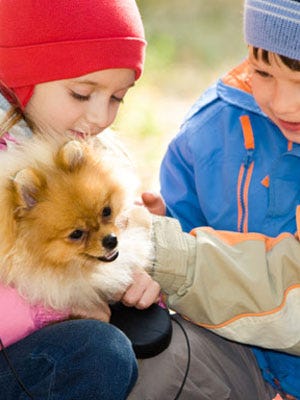 Animal-Facts-for-Kids-True-or-False