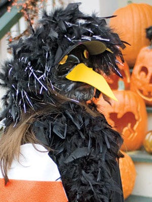 Halloween Costumes for Kids at WomansDay.com - Crow Costume