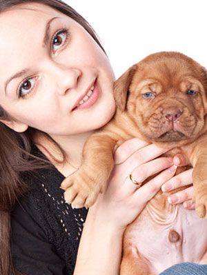 How to Housebreak a Puppy - Training Tips for Puppies