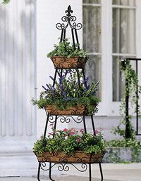 Flower Arranging, Flowerpot, Houseplant, Floral design, 