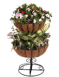 Flower, Petal, Shrub, Floristry, Botany, Flower Arranging, Flowering plant, Floral design, Cut flowers, Bouquet, 