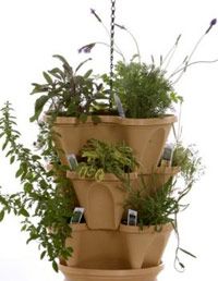 Flowerpot, Plant, Leaf, Interior design, Terrestrial plant, Houseplant, Annual plant, Plant stem, Pottery, Vase, 