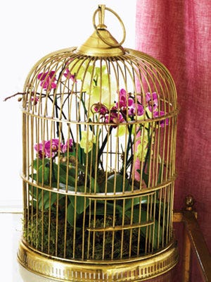 Birdcage Flower Displays Fun Floral Arrangement Ideas For