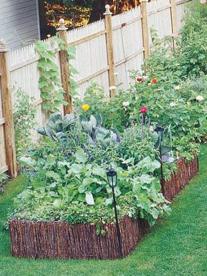 Make The Most Of Small Garden Spaces Gardening Tips At Womansday Com