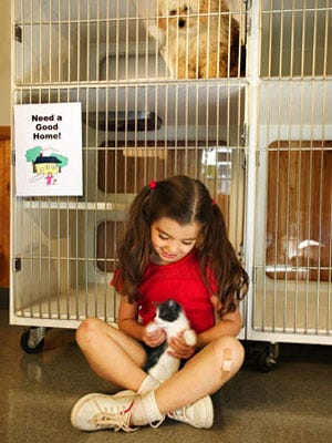 How To Help An Animal And Protect Yourself image