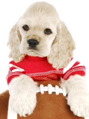 Touchdown! image
