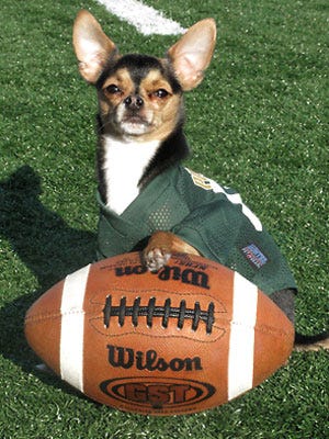 Yo Quiero Football image