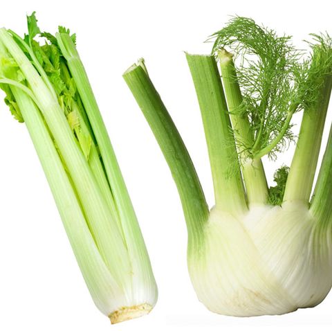 celery and fennel