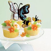 Morphos-Butterflies-Cupcakes