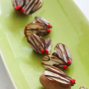 Chocolate-Flies-Recipe