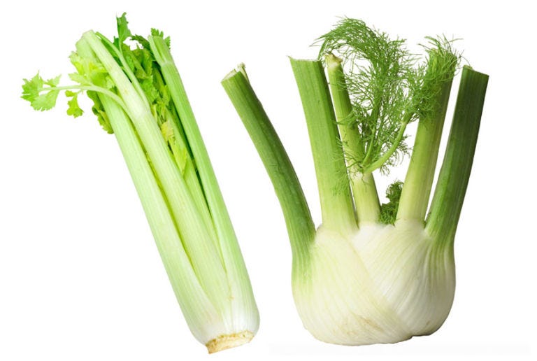 Celery and Fennel celery and fennel