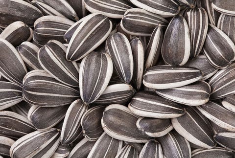 1. Sunflower Seeds to Spain sunflower seeds