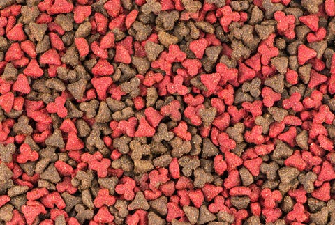 2. Pet Food to Canada dog food
