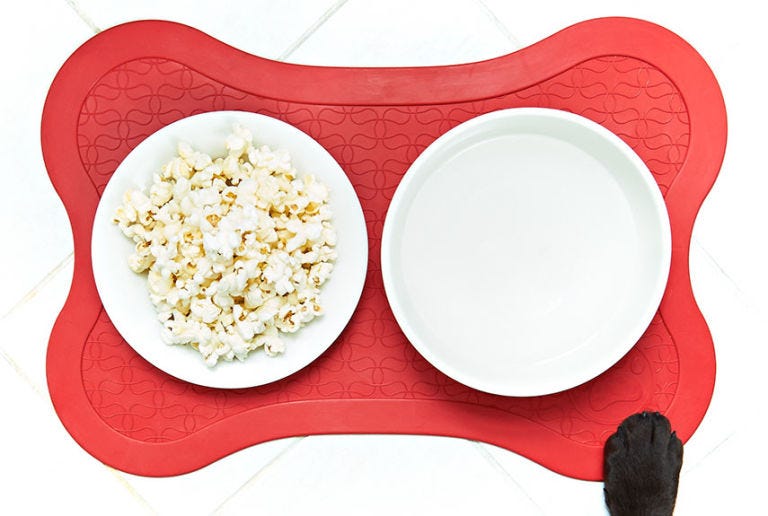 Can Dogs Eat Plain Oatmeal Can Dogs Eat Plain Oatmeal
