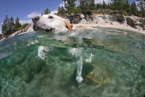 On Calm Shores image