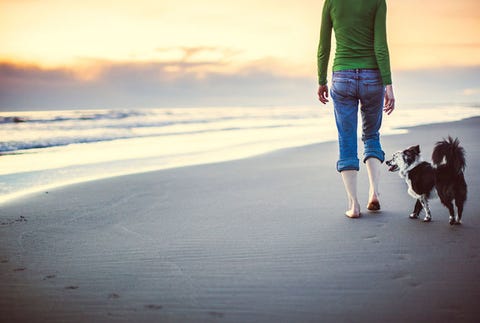 At the Beach image
