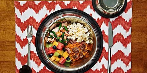 What Food Can You Cook For Dogs With Allergies What Food Can You Cook For Dogs With Allergies