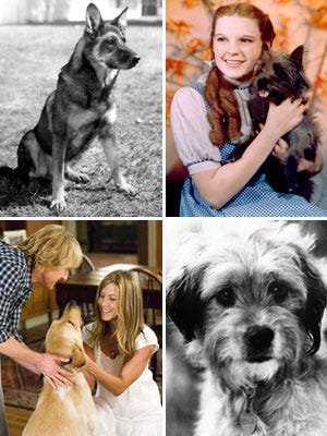Precious Pups <p>From big-time flicks to buzzed-about commercials, "man's best friend" is a fixture on film. After all, cuddly canines are almost as fun on-screen as they are off. But some Hollywood hounds had humble beginnings, being "discovered" in shelters and war-torn towns. Click through to meet the most famous rescue dogs and read their inspiring stories.</p>