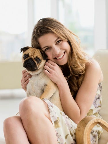pet burns treats d or Your Keep in 2013 Pets Dog How Healthy Healthy to Cat pet burns treats d or Your Keep in 2013 Pets Dog How Healthy Healthy to Cat