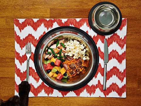 Canine-Safe Cuisine <p>You know how you get sick of the same foods every day? Variety can spice up a dog's life too. Plenty of people foods are safe for your pooch, and some even have healthy perks. While certain nibbles aren't suitable for all dogs, especially those with chronic conditions and allergies, the following meals and snacks work well as occasional treats. After checking with your vet, make a date with your dog over one of these 10 pet-friendly dishes.</p>