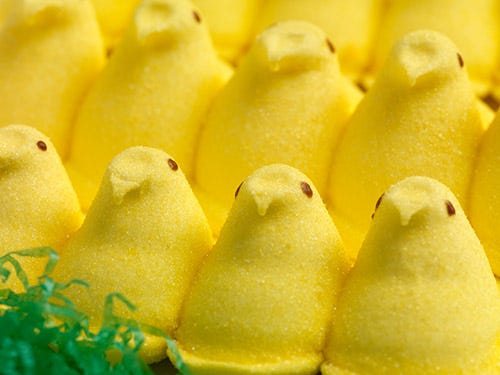 Peep Show Eat Dog Peep Show Eat Dog