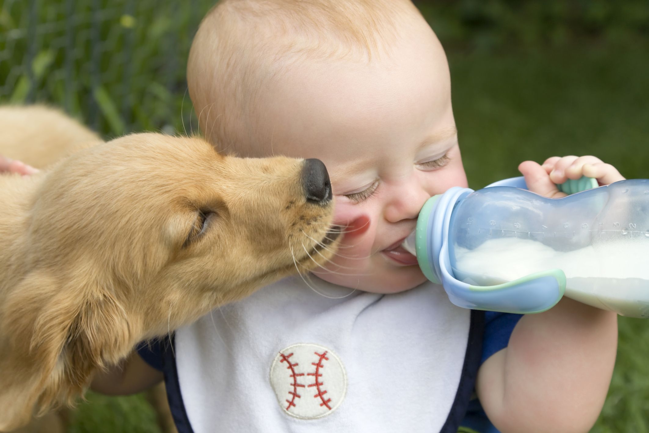 is-it-ok-for-dogs-to-lick-babies