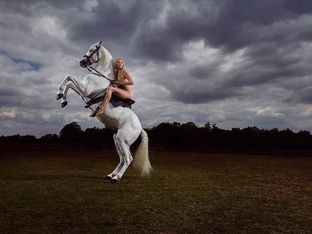 Sky, Cloud, Grass, Photography, Jumping, Stock photography, Horse, 