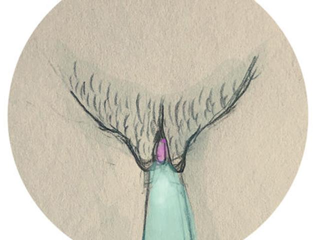 Eye, Feather, Illustration, Drawing, Wing, 